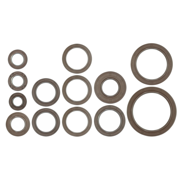 SET Wellendichtringe (Braun), AWO-T